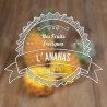 Pack de 5 flacons Ananas - Les incontournables by VDLV