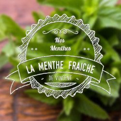 Pack de 5 flacons Menthe Fraîche - Les incontournables by VDLV