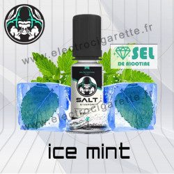 Ice Mint - Salt E-vapor - Aux sels de nicotine