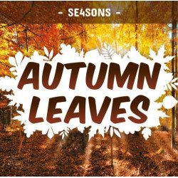 Automn Leaves - Se4sons - High Vaping - ZHC 50 ml