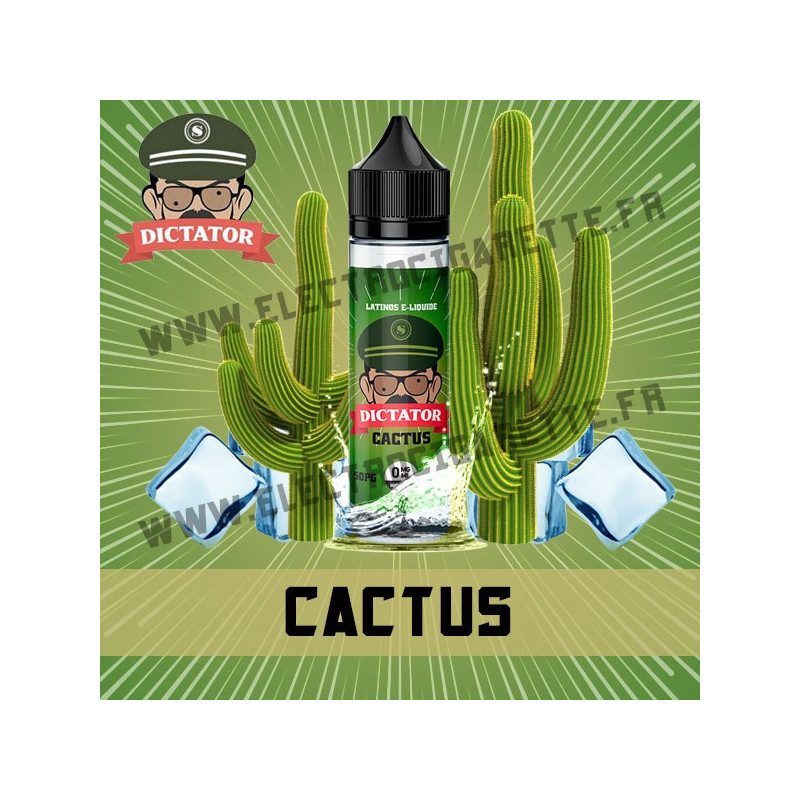 Cactus - ZHC 50 ml - Savourea