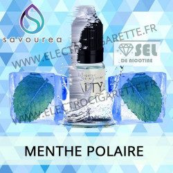 Menthe Polaire - Salty - Savourea
