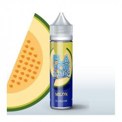 Melon - 50ml - Flavor Freaks