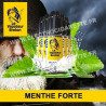Pack de 5 x Menthe Forte - L'Authentic - Le Vapoteur Breton - 10 ml