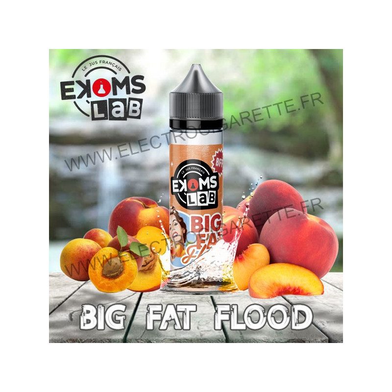Big Fat Flood - Ekoms Labs - ZHC 50 ml