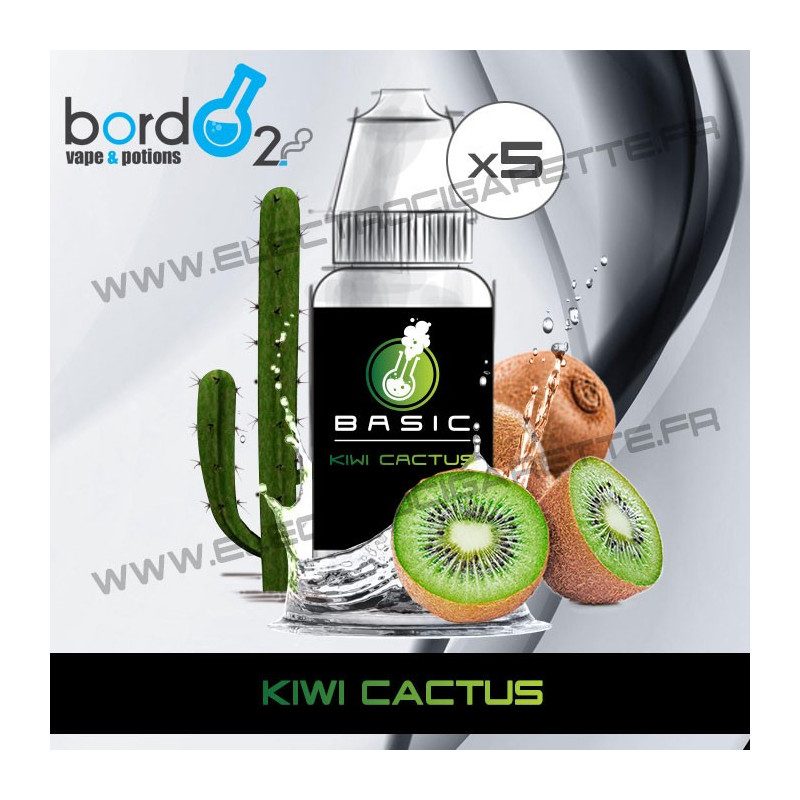 Pack de 5 x Kiwi Cactus - Basic - Bordo2