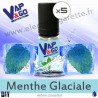 Menthe Glaciale - Vape&Go - Arôme concentré DiY - 5x10 ml