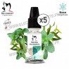 Menthe Eucalyptus - BioConcept - Pack de 5 x 10ml