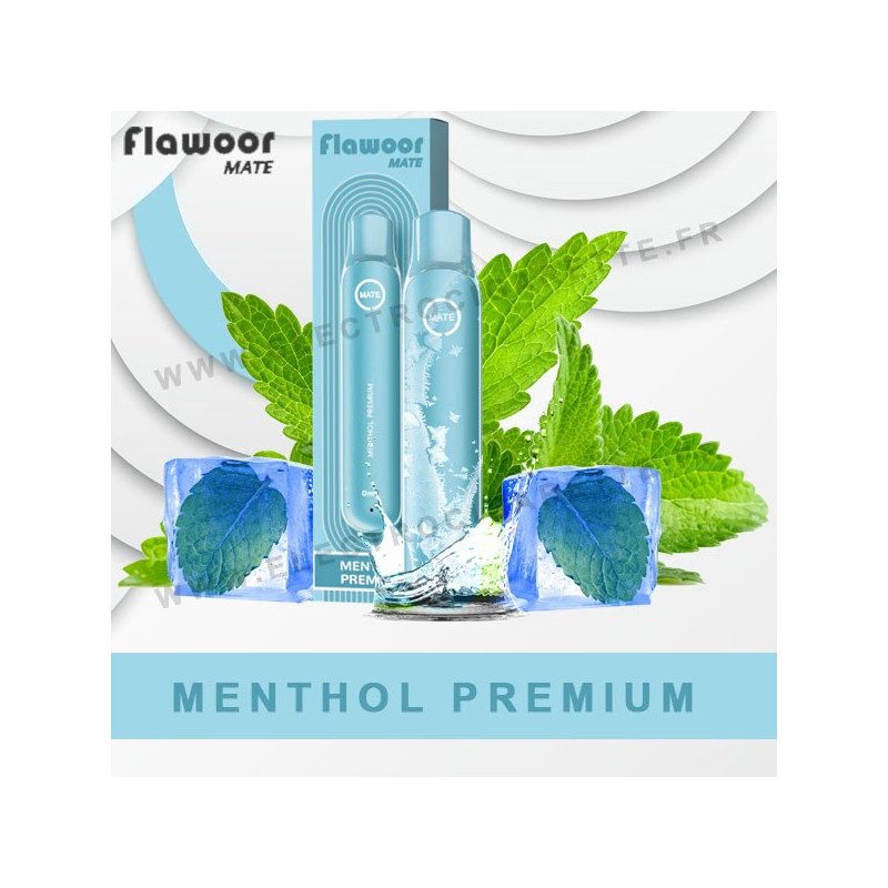 Menthol Premium - Flawoor Mate - Vape Pen - Cigarette jetable