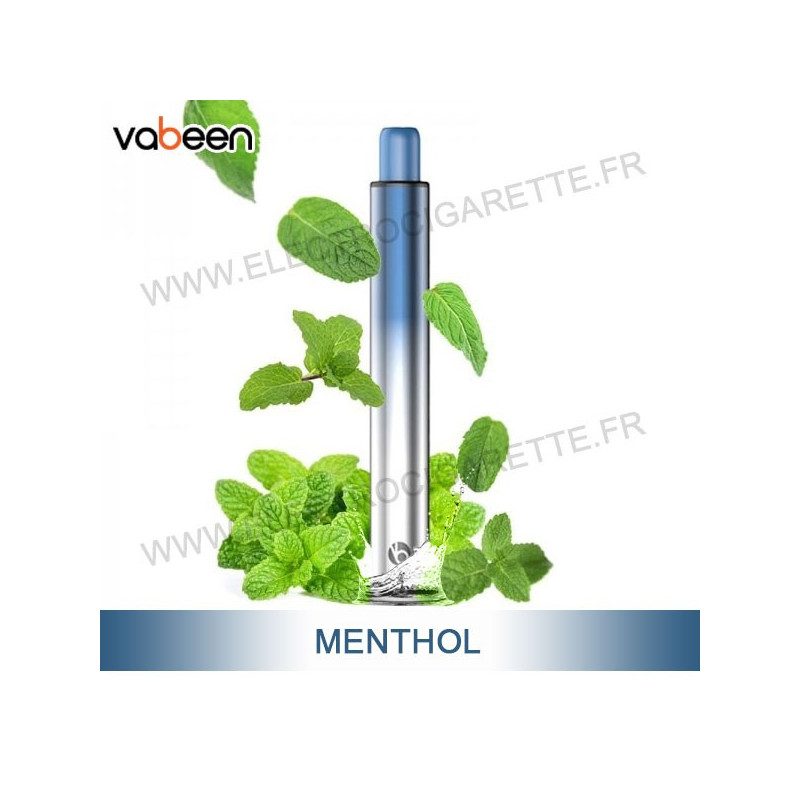 Menthol - Flex - Vape Pen - Cigarette jetable