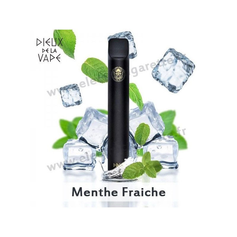 Menthe Fraiche - Dieux de la Vape - Vape Pen - Cigarette jetable