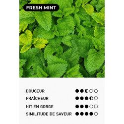 Infos sur la saveur Fresh Mint - Moti Pop - Moti - Vape Pen - Cigarette jetable