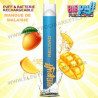 Kit Mangue de Malaisie - Big Puff Reload - Vape Pen - Cigarette rechargeable