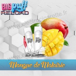 Pod Mangue de Malaisie - Big Puff Reload - Vape Pen - Pod Jetable - 600 puffs