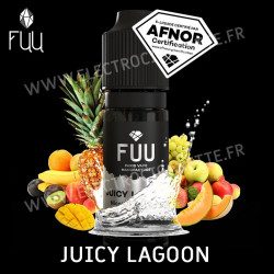 Juicy Lagoon - Silver - 10ml - The Fuu
