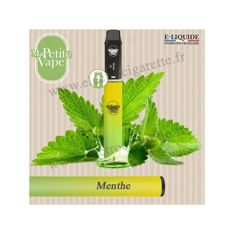 Menthe - RePuff - Ma petite vape - Pod - Cigarette rechargeable avec pod