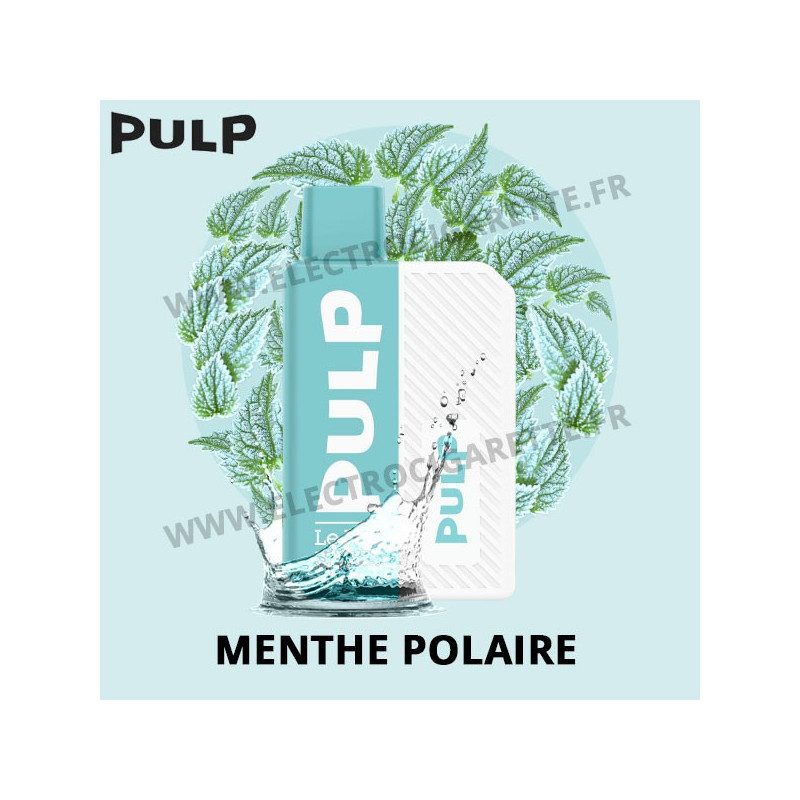 Menthe Polaire - Le Pod - Kit Flip - Pulp - 2 ml - 500 mAh - 300 Puffs