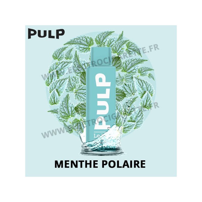 Menthe Polaire - Le Pod - Pod Flip - Pulp - 2 ml - 500 mAh - 650 Puffs