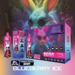 Boite Blueberry Ice - White Rabbit - RandM Tornado - 9000 Puffs - Vape Pen - Cigarette jetable