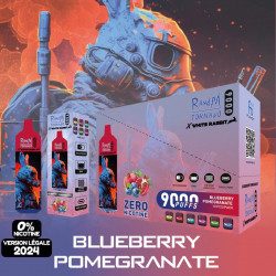 Boite Blueberry Pomegranate - White Rabbit - RandM Tornado - 9000 Puffs - Vape Pen - Cigarette jetable