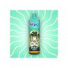 Kiwi Passion Fruit Guava : Kiwi, Fruit de la passion, Goyave - BIG PUFF 12000 - 00MG