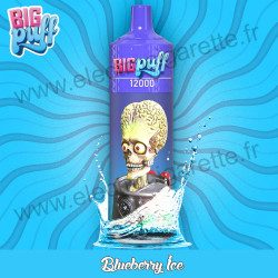 Blueberry Ice : Myrtille glacée - Big Puff 12000