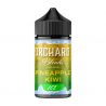 PINEAPPLE KIWI ICE ORCHARD BLENDS FIVE PAWNS 50ML 00MG