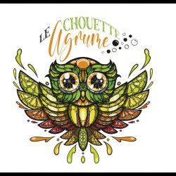 Logo 'Le Chouette Agrume' avec chouette multicolore et texte, pour e-liquide.
