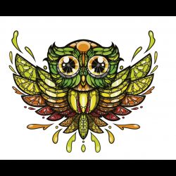 Illustration détaillée de chouette colorée pour e-liquide 'Le Chouette Agrume