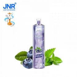 Blueberry Mint - JNR - Shisha 12000 Puffs