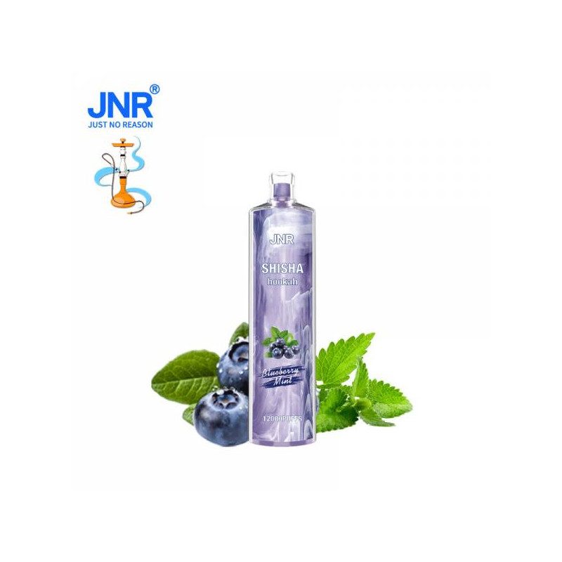 Blueberry Mint - JNR - Shisha 12000 Puffs Blueberry Mint - JNR - Shisha 12000 Puffs