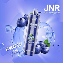 Blueberry Ice - JNR - Shisha 12000 Puffs