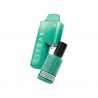 Utilisation Citron et Citron Vert - AF5000 - Elfbar - Pod 2ml et Bouteille 10ml