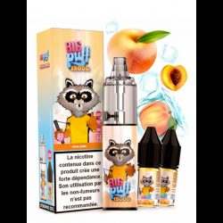 Tornado 15000 puffs 20 mg Pêche Givrée - Big Puff