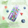 Blueberry Watermelon - x Artery 15000 puffs - Ma Petite Vape