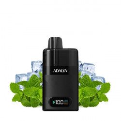 Menthol - Starter Kit Levo 30K 1000mAh 10ml/2% - Adalya