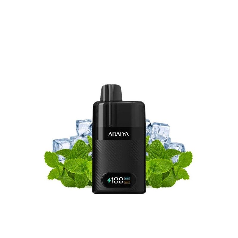 Menthol - Starter Kit Levo 30K 1000mAh 10ml/2% - Adalya Menthol - Starter Kit Levo 30K 1000mAh 10ml/2% - Adalya