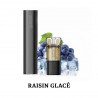Raisin Glacé - Starter Kit Switch Pro Black Edition 10mg - Vozol