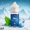 Intense - Arôme Concentré Polaris - Le French Liquide - 30ml