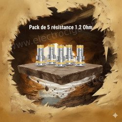Pack de 5 x Résistances B MTL Series 1.2Ω - Geekvape - Poster