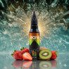 Fraise Kiwi - ZHC 50ml - RIOT X