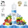Etna - Vape'N Puff Ice - Bio Concept - ZHC 50ml - Saveurs