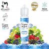Evered - Vape'N Puff Ice - Bio Concept - ZHC 50ml - Saveur