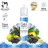 Fujiyama - Vape'N Puff Ice - Bio Concept - ZHC 50ml - Saveur