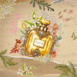 Vanille Cumin - Singularités - Al-Kimiya - ZHC 50mL - Icone