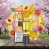 Peach Ice - Cartouche Pod Pré-remplie X-Line 15k - X-Bar
