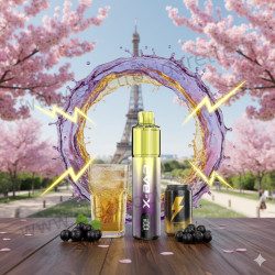 Blackcurrant Energy - Starter Kit X-Line - 15k - 2% - X-Bar