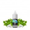 Gum Mint - Nic Salt 20mg 10ml - Al Fakher - Crown Bar