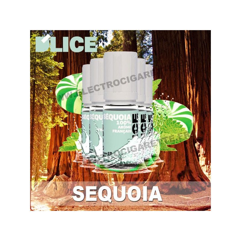 Pack 5 flacons 10 ml Sequoia - D'Lice