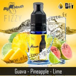 Guava Pineapple Lime - Fizzy DiY - Big Mouth